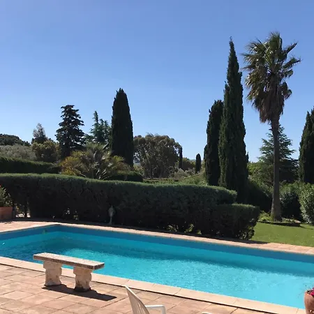 Magnifique Piscine -12 Pers * Grimaud